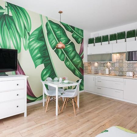 Cozy Modern Studio Green Apartment In Old Town Krakow Luaran gambar